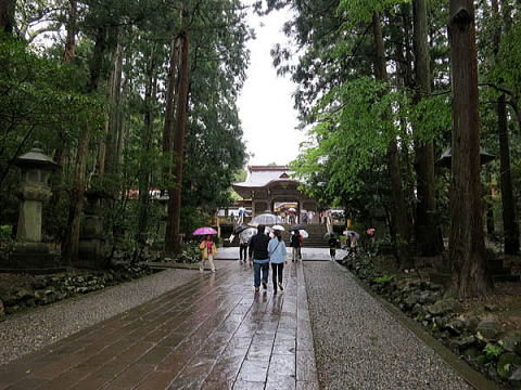 弥彦神社の参道