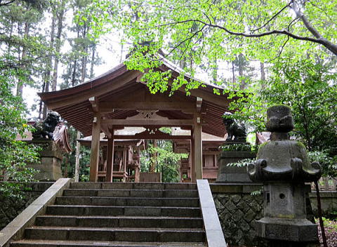 弥彦神社の摂社