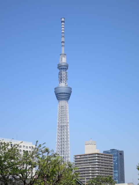 太鼓橋　男橋から見える東京スカイツリー