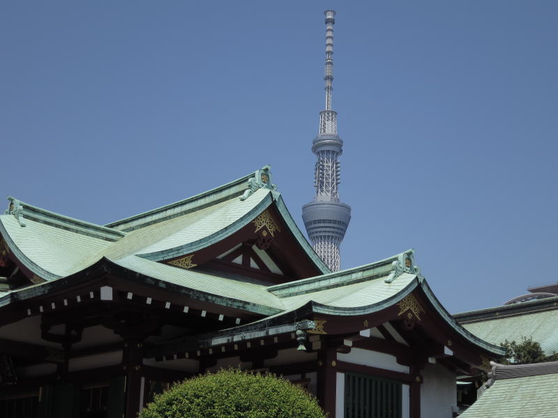 本殿から見る東京スカイツリー